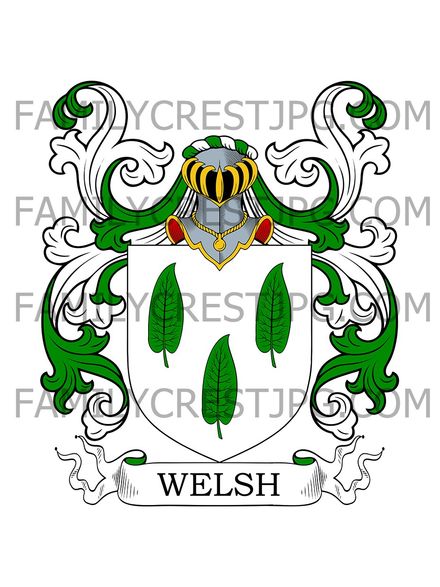 Walsh Family Crest