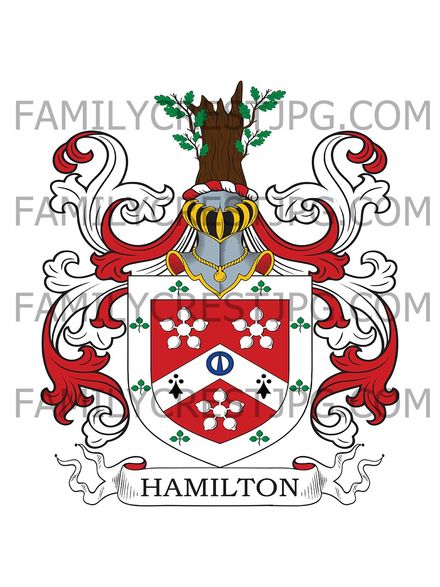 Hamilton Family Crest - Easter Binning, co. Linlithgow, Scotland