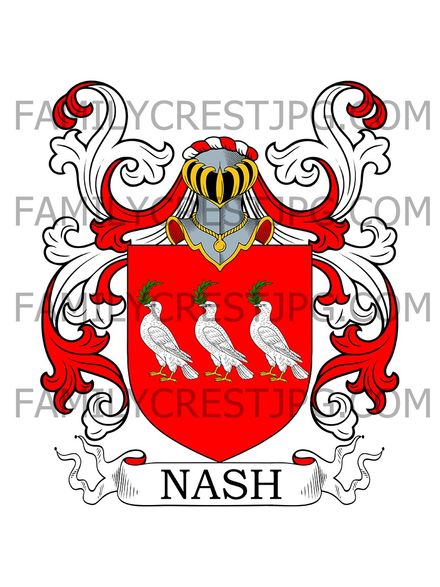 Nash Family Crest - Ireland
