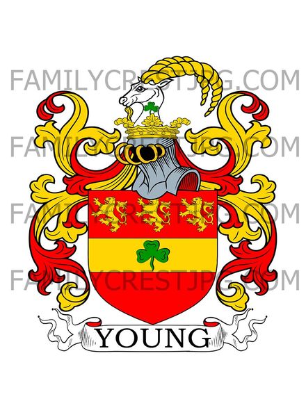 Young Family Crest
