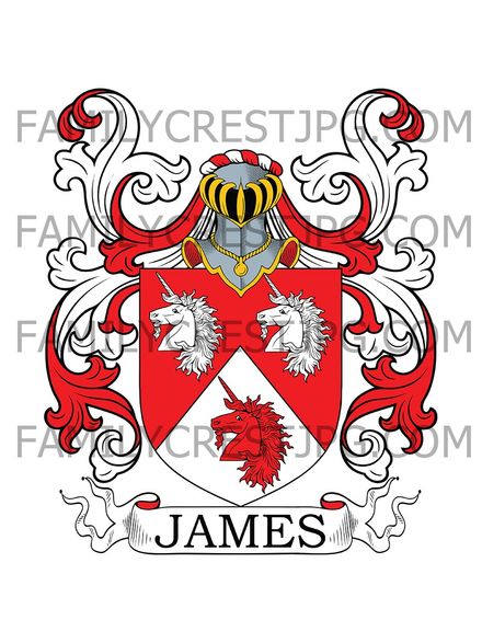James Family Crest - Astley, co. Worcester, England