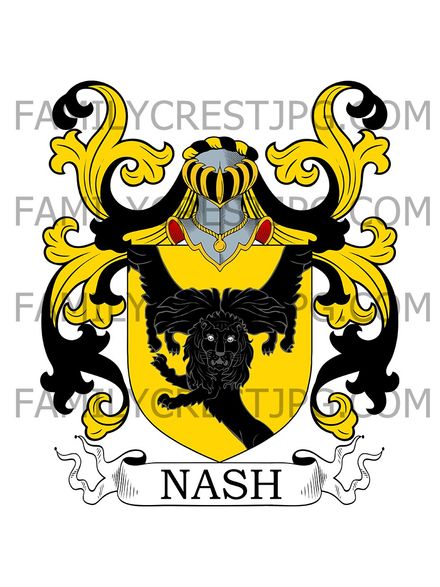 Nash Family Crest - Ireland