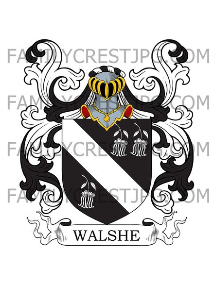 Walsh Family Crest