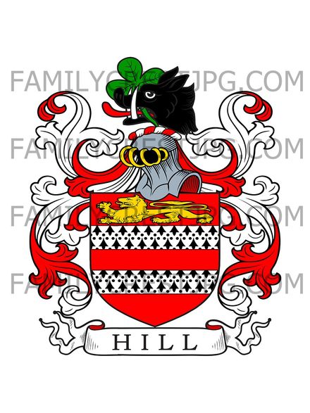 Hill Family Crest - Gressenhall Hall, co. Norfolk, England
