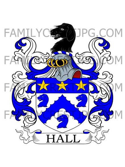 Hall Family Crest - Newsam &amp; Great Chilton, co. Durham, England