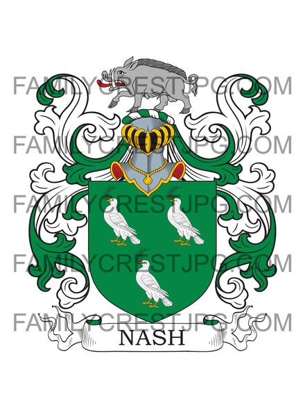 Nash Family Crest - Farrihy, co. Cork, Ireland
