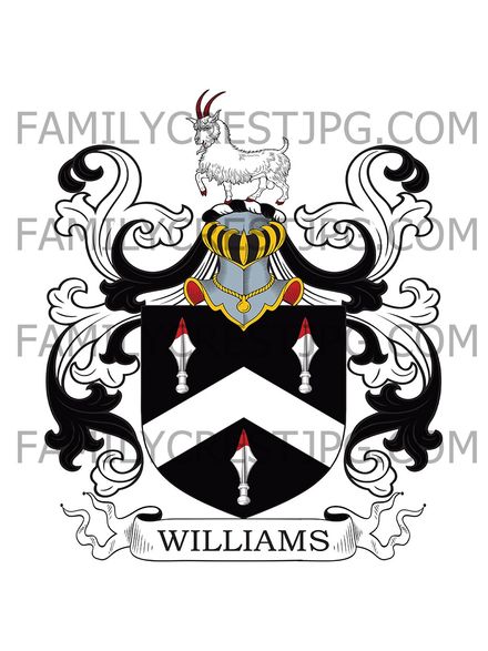 Williams Family Crest - Hampshire, England