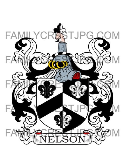 Nelson Family Crest - Devon &amp; Plymouth, England