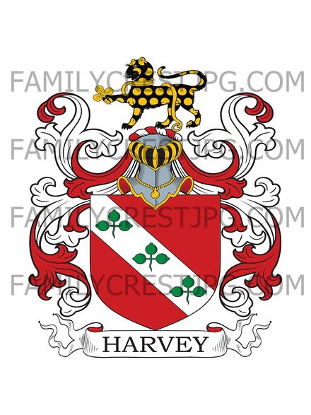 Harvey Family Crest - Aylesbeare, co. Devon, &amp; Betworth, co. Surrey, England