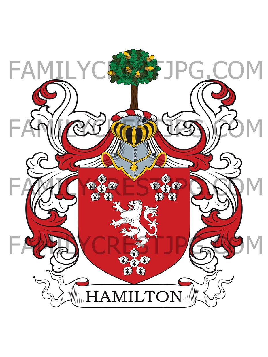 Hamilton Family Crest - Cambuskeith, co. Ayrshire, Scotland