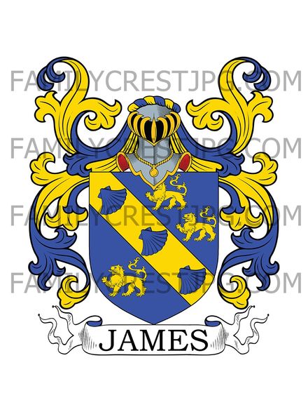 James Family Crest - Ireland