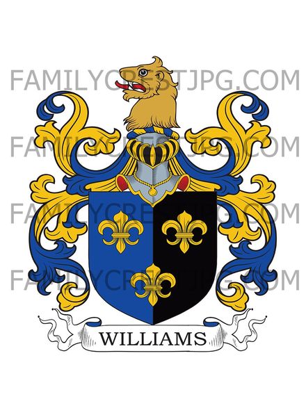Williams Family Crest - Wales