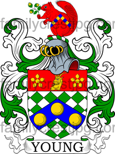 Young Family Crest, Young Coat of Arms