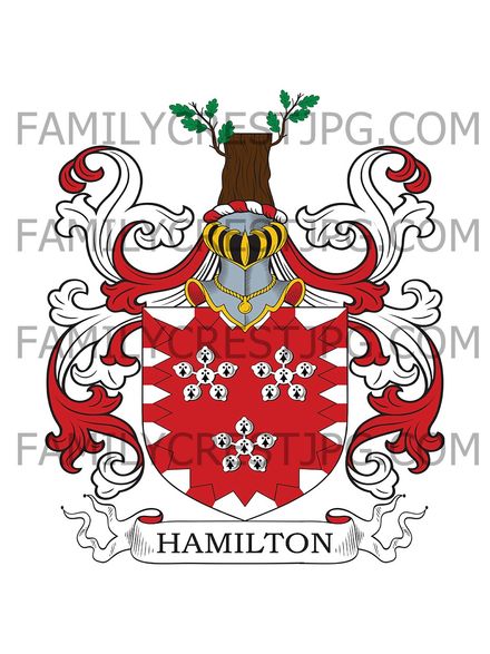 Hamilton Family Crest - Blantyrefarm, co. Haddington, Scotland