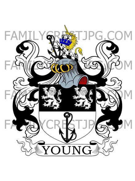 Young Family Crest - Formosa Place, co. Berkshire, England