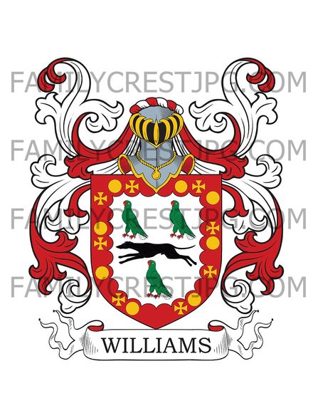 Williams Family Crest - London, England &amp; East Indies