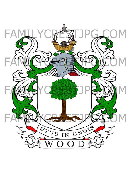 Wood Family Crest - Ottershaw Park, co. Surrey, England