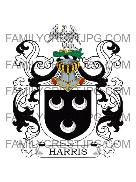 Harris Family Crest - Hayne, co. Devon, England