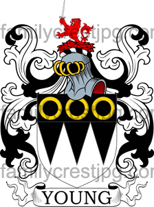 Young Family Crest, Young Coat of Arms