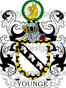 Young Family Crest, Young Coat of Arms