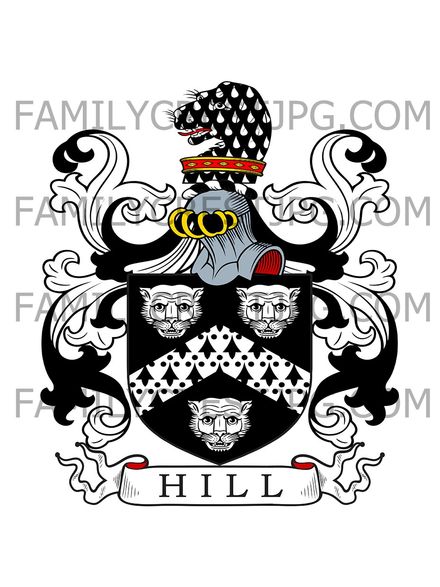 Hill Family Crest - Teddington, co. Middlesex, England