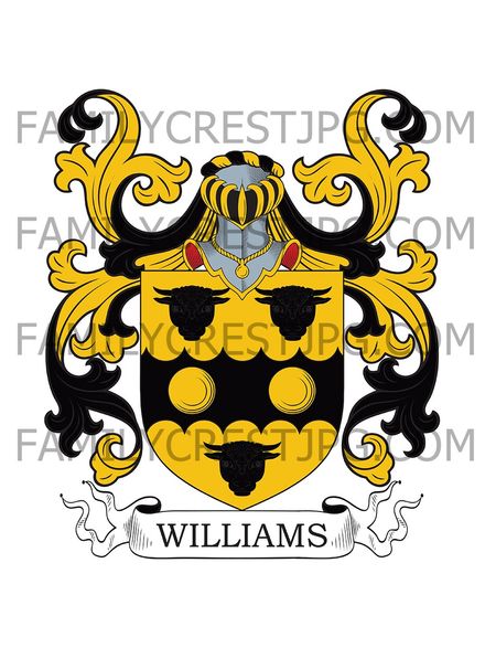 Williams Family Crest - Mugmoor, co. Gloucester, England