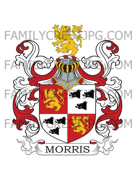 Morris Family Crest - Netherby, co. Yorkshire, England