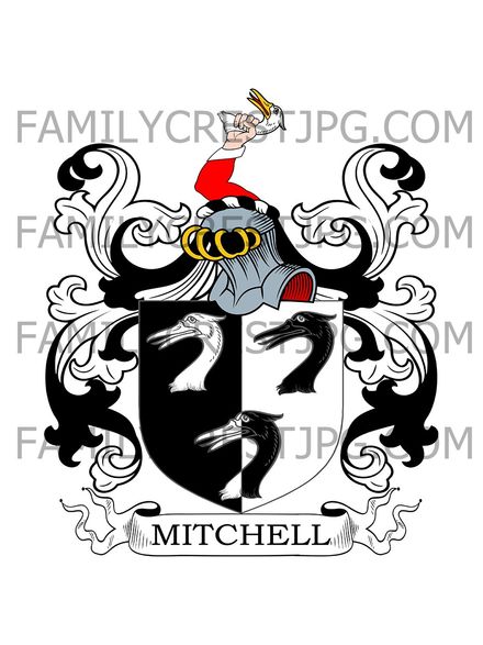 Mitchell Family Crest -  Evesham, co. Worcester, England