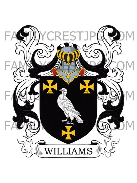 Williams Family Crest - Chichester &amp; Northampton, England