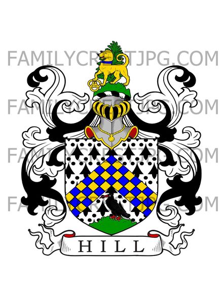 Hill Family Crest - Stourport, England