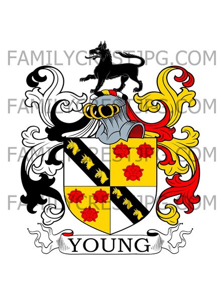 Young Family Crest