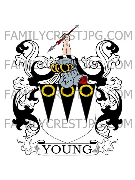 Young Family Crest