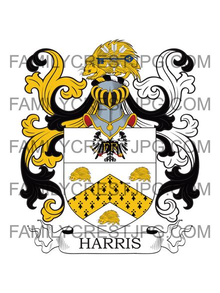 Harris Family Crest - Salisbury, co. Wiltshire, England