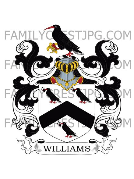 Williams Family Crest - Temple House, co. Bucks, England