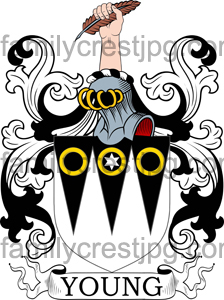 Young Family Crest, Young Coat of Arms