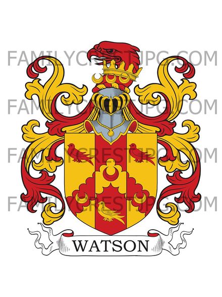 Watson Family Crest - Shirecliffe Hall, Sheffield, co. York, England