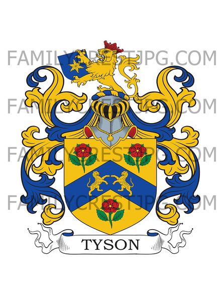 Tyson Family Crest - Scathwaite, co. Cumberland, England
