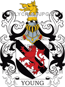 Young Coat of Arms