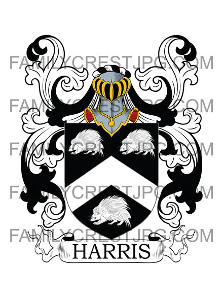 Harris Family Crest - Croydon, co. Surrey, England