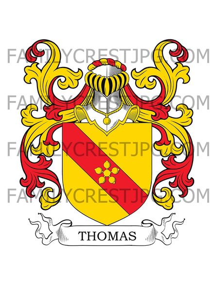 Thomas Family Crest -  de la Plesse, France