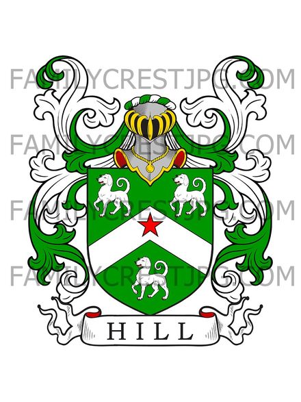 Hill Family Crest - Kilmore, co. Wexford, Ireland