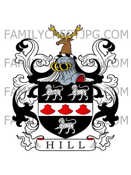 Hill Family Crest - Wye, co. Kent, England