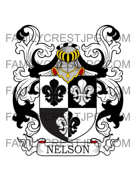 Nelson Family Crest - Munster, Ireland