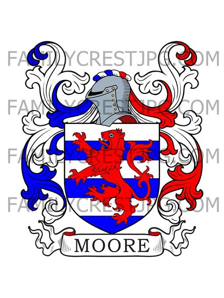 Moore Family Crest - Drogheda, Ireland