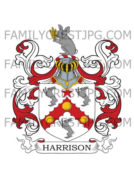 Harrison Family Crest - Dublin, Ireland