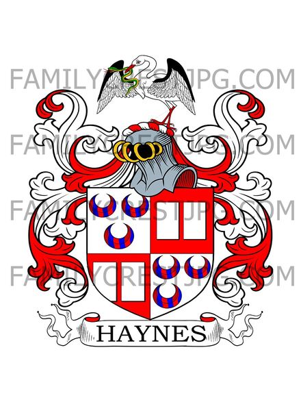 Haynes Family Crest - Thimbleby Lodge, Northallerton, co. Yorkshire, England
