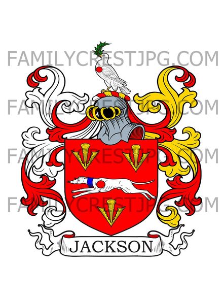 Jackson Family Crest - Bath, со. Somerset, England