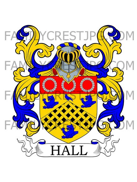 Hall Family Crest - Consett &amp; Birtley, co. Durham, England