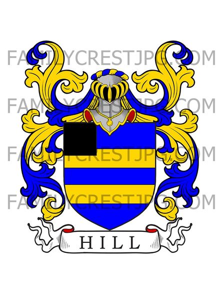 Hill Family Crest - London, England