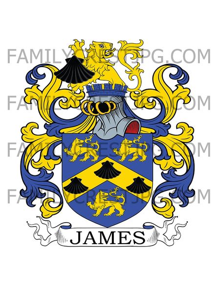 James Family Crest - Astley, co. Worcester, England
